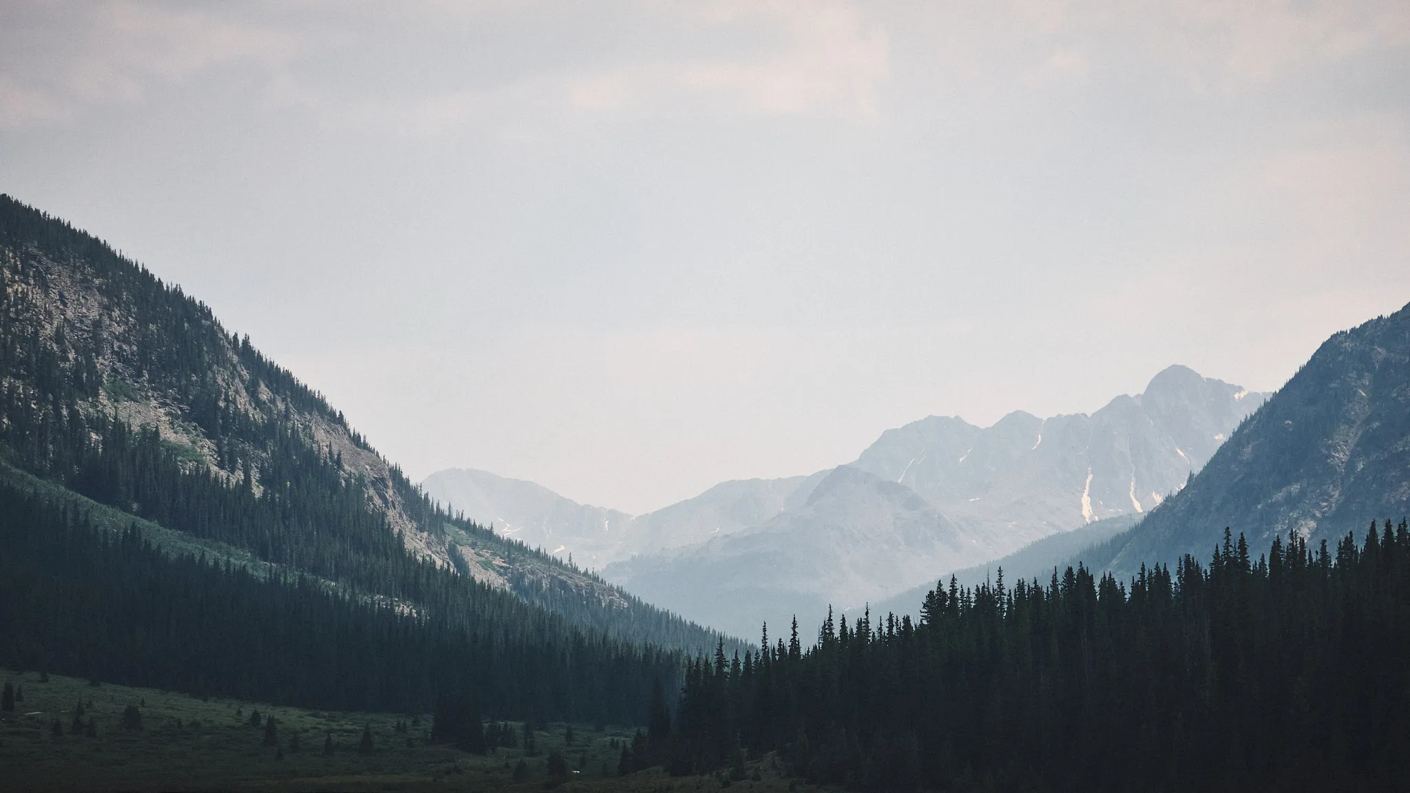 White River Natl. Forest, Colorado