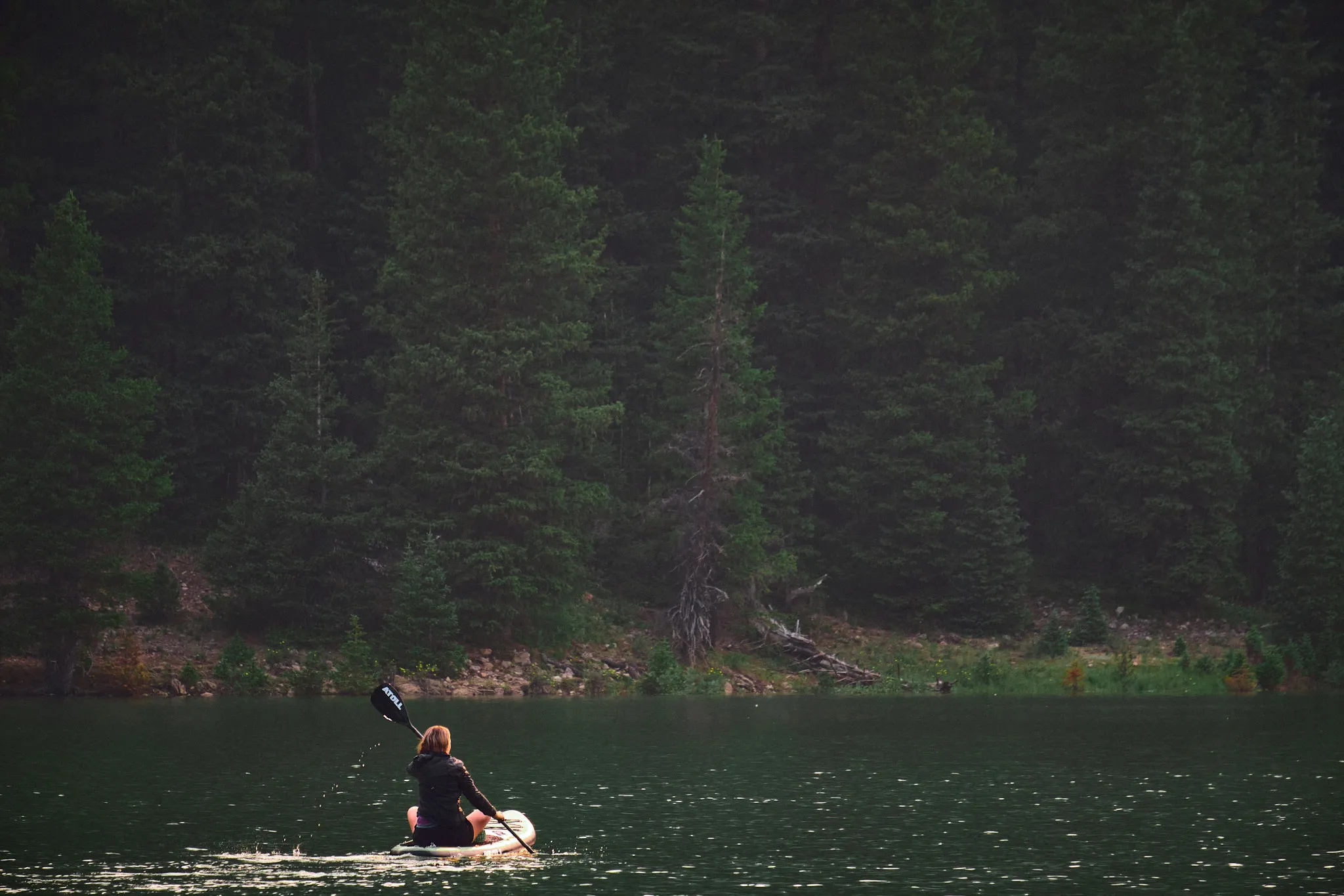 White River Natl. Forest, Colorado
