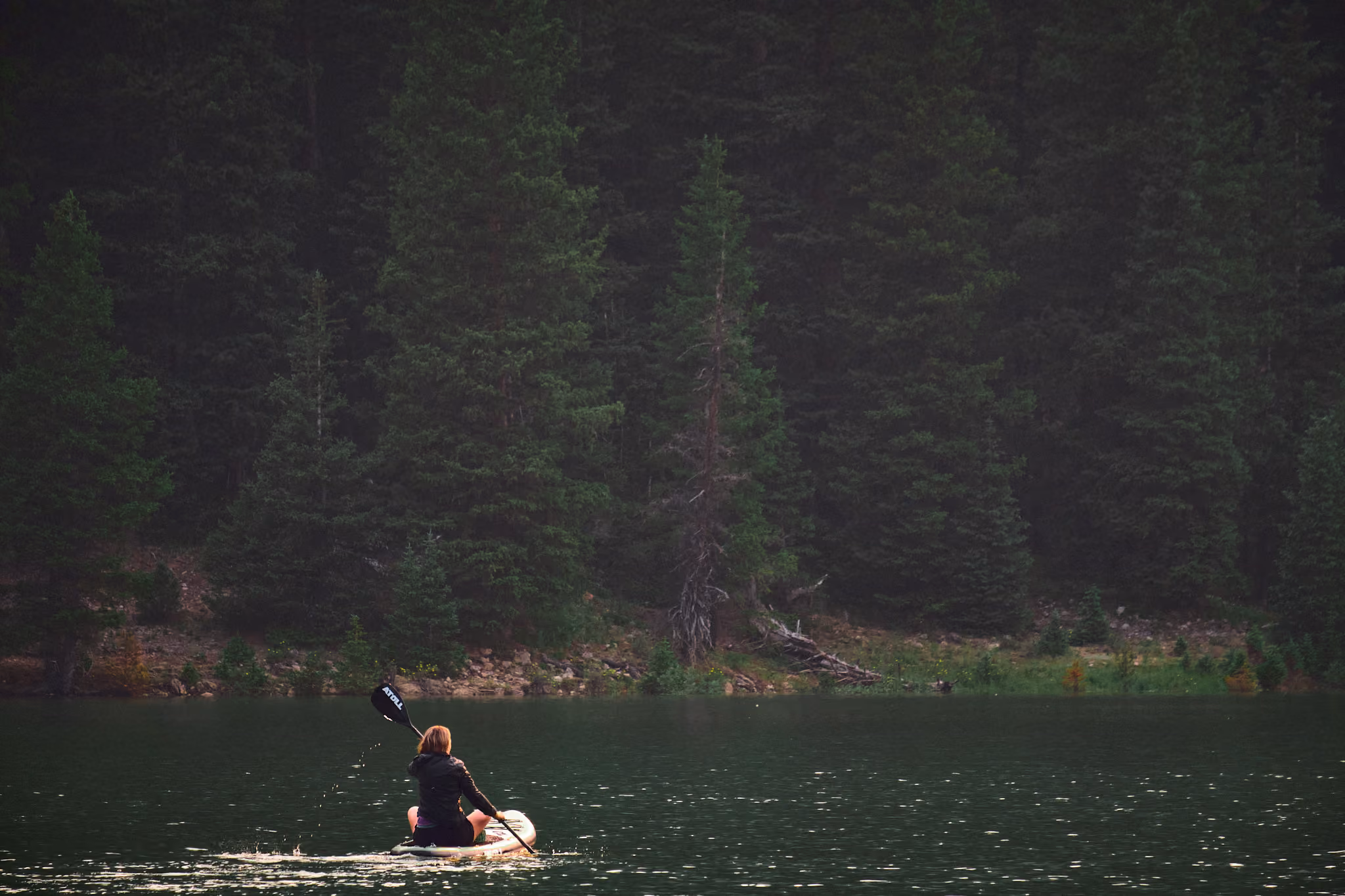 White River Natl. Forest, Colorado