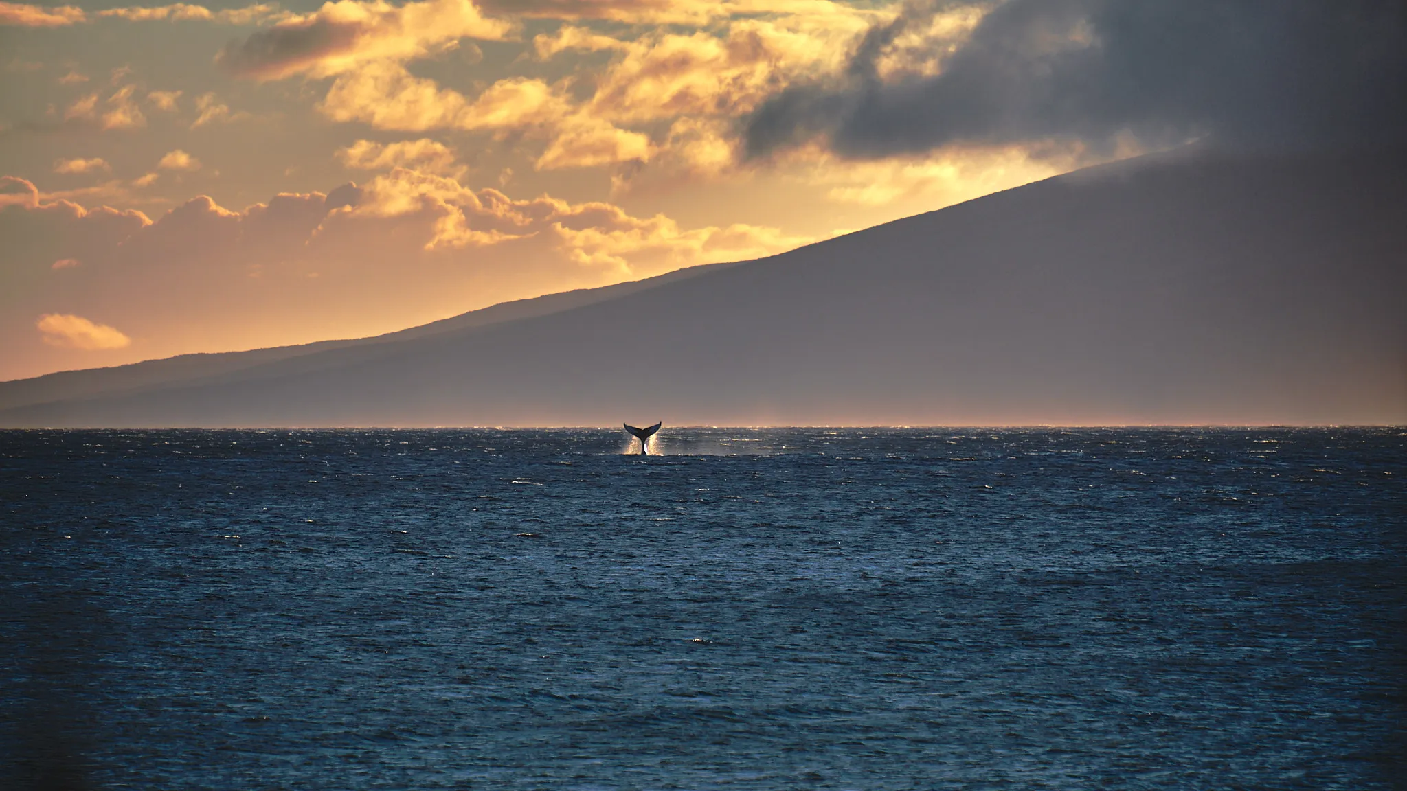 Lahaina, Maui, Hawaii