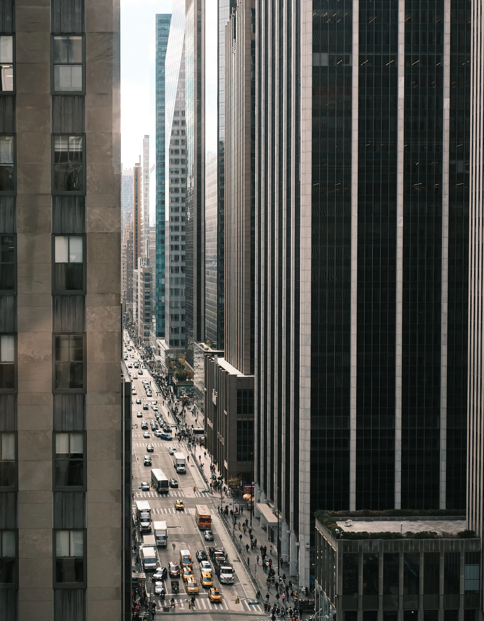 New York, New York