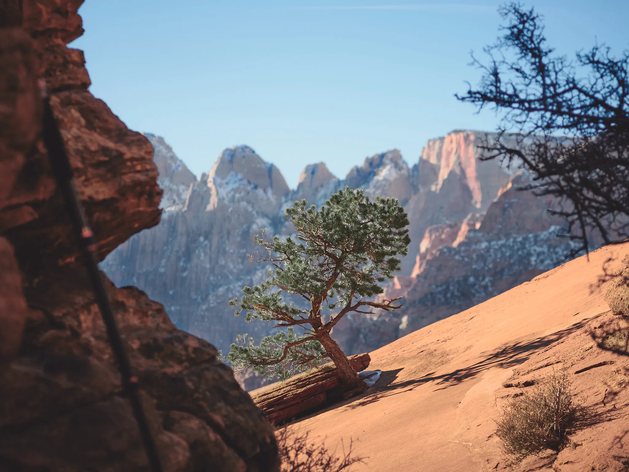 Zion Natl. Park, Utah