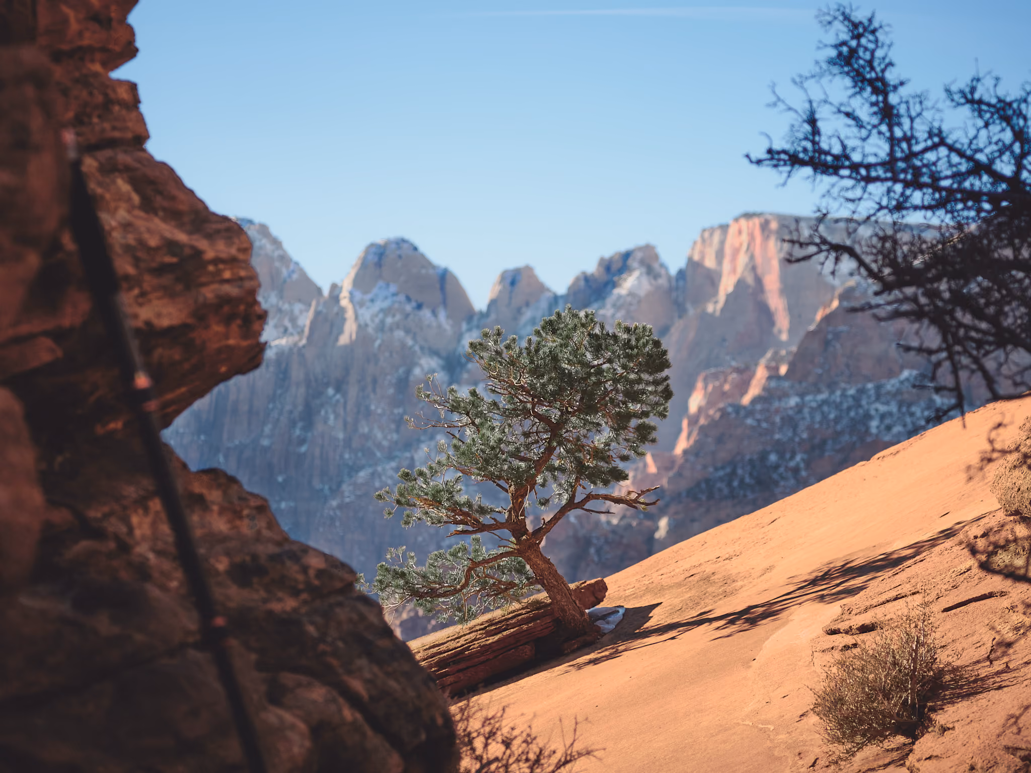 Zion Natl. Park, Utah